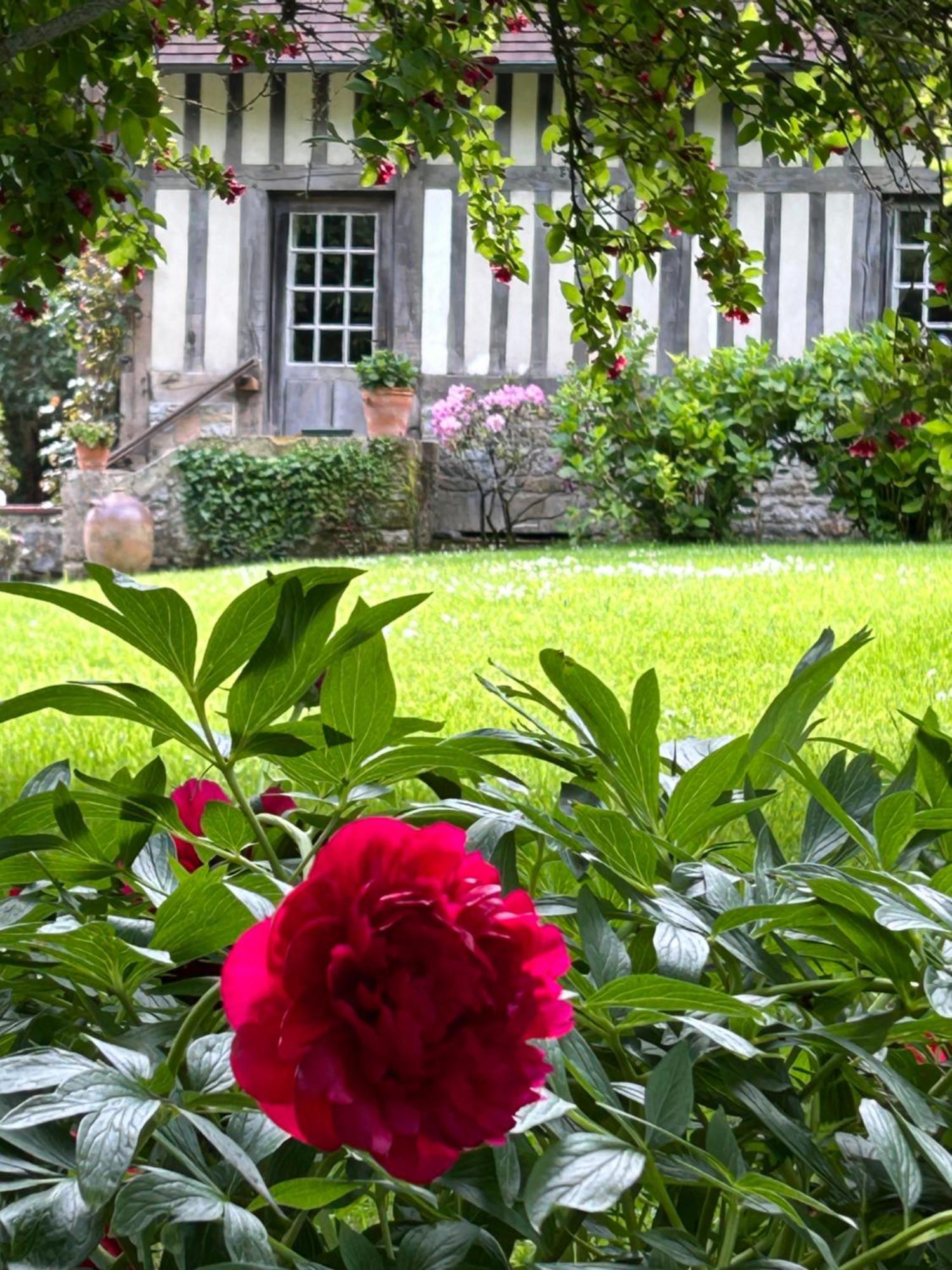 Les Hortensias Manerbe Luaran gambar